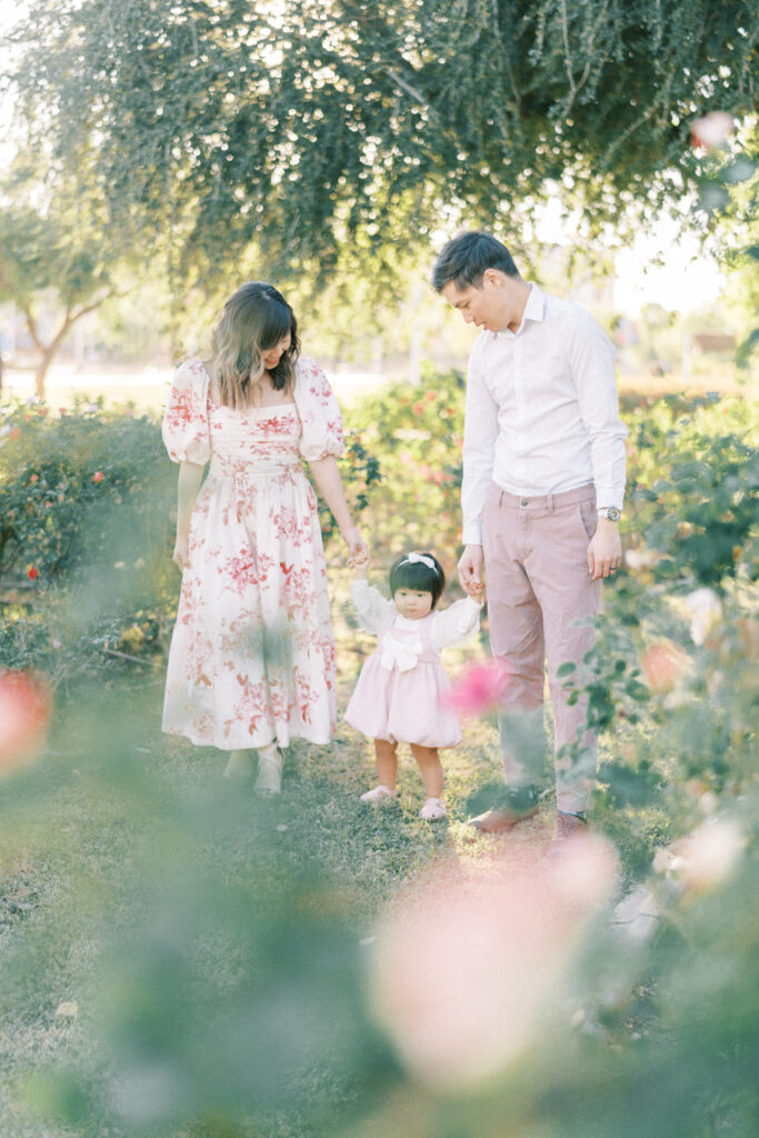 Mother and father walking baby girl down an isle of rose bushes during golden hour.