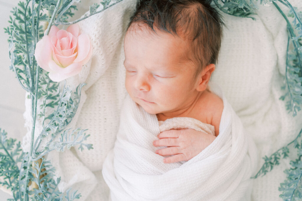 Beautifully lit studio in Phoenix Arizona showing a baby girl laying in a moses basket.