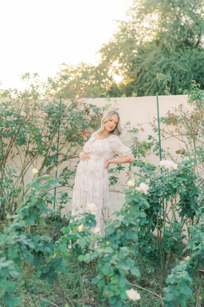 A pregnant mom surrounded by roses in Mesa Arizona holding her belly.
